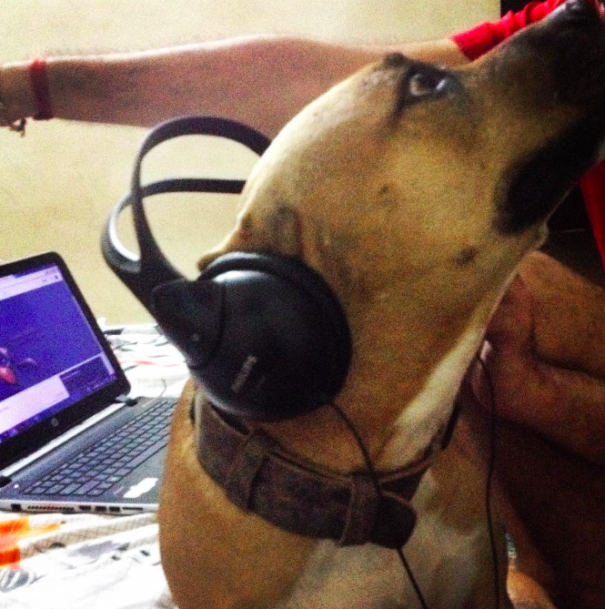 Davo listening to music