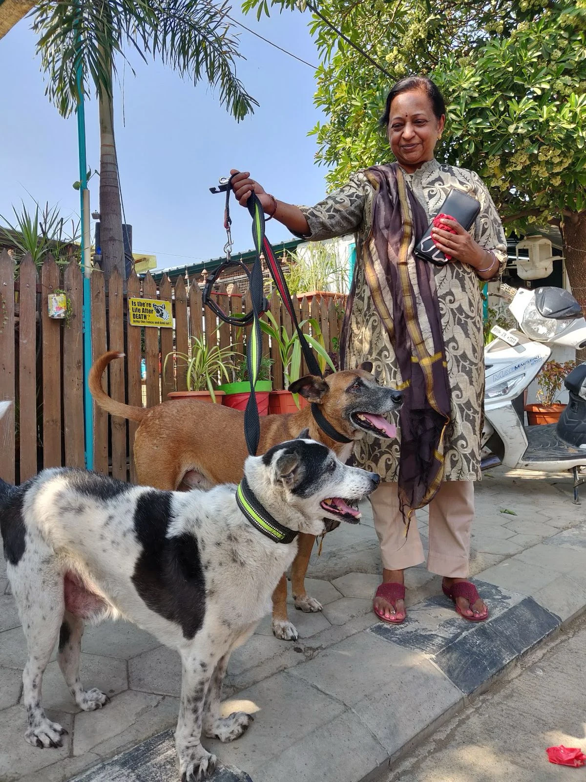 A family member outdoors with two dogs on leads